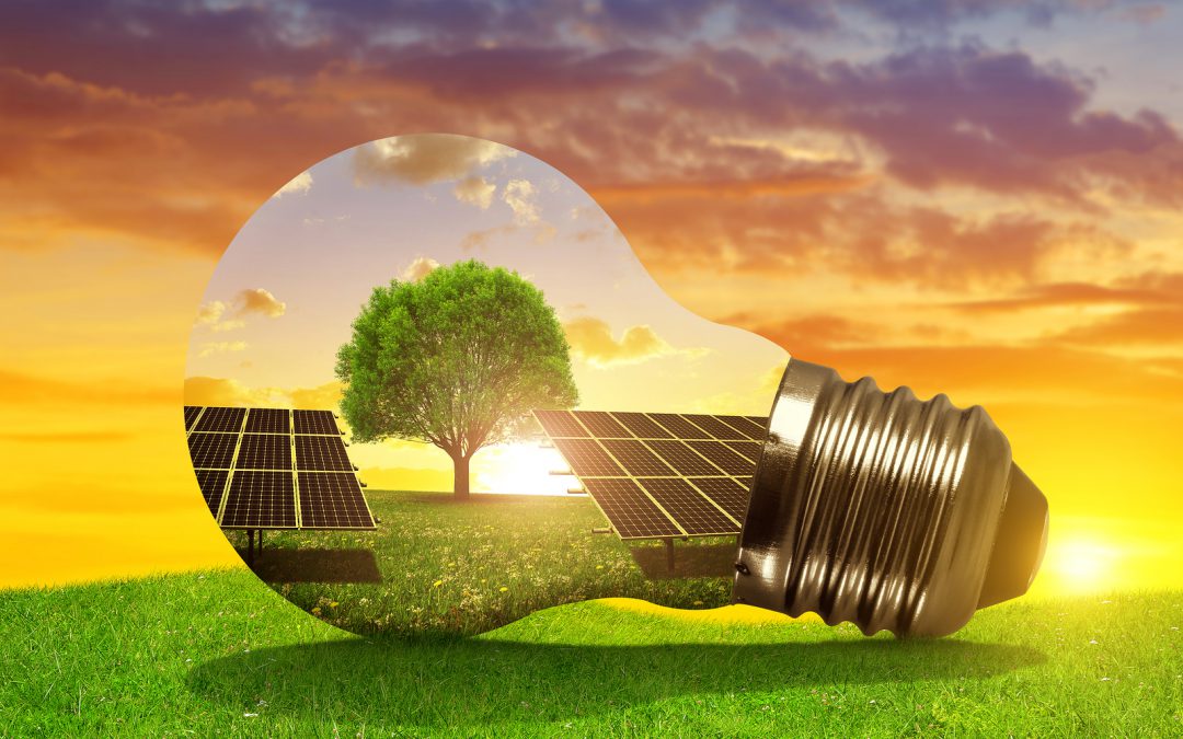 Energie rinnovabili, è stallo: nel 2018 frenata nelle nuove installazioni